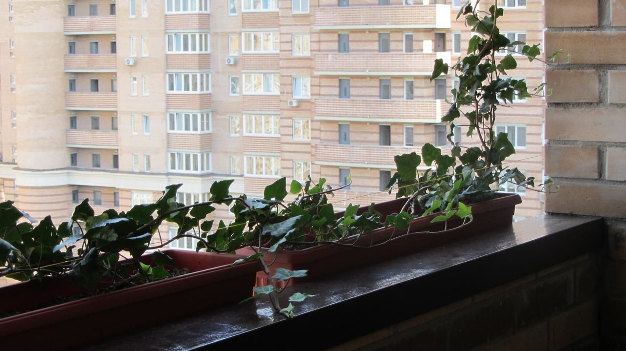 Апарт-отели VS Apartments Киев-24